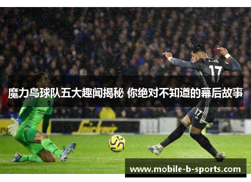魔力鸟球队五大趣闻揭秘 你绝对不知道的幕后故事 魔力鸟球队五大趣闻揭秘 你绝对不知道的幕后故事