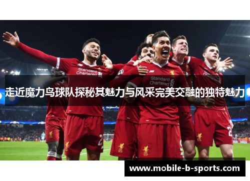 走近魔力鸟球队探秘其魅力与风采完美交融的独特魅力