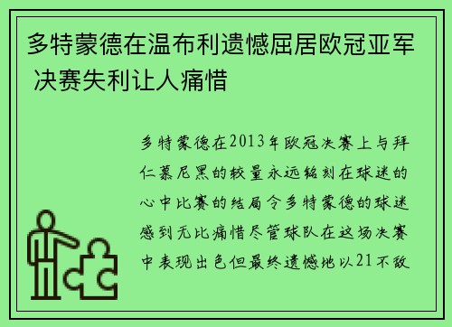 多特蒙德在温布利遗憾屈居欧冠亚军 决赛失利让人痛惜 多特蒙德在温布利遗憾屈居欧冠亚军 决赛失利让人痛惜
